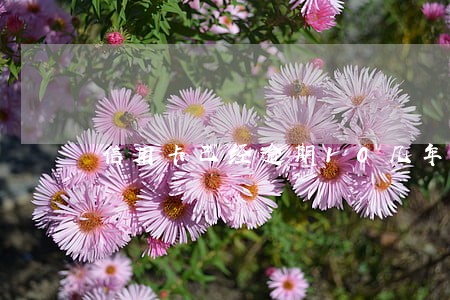 信用卡已经逾期10几年了 信用卡已经逾期10几年了