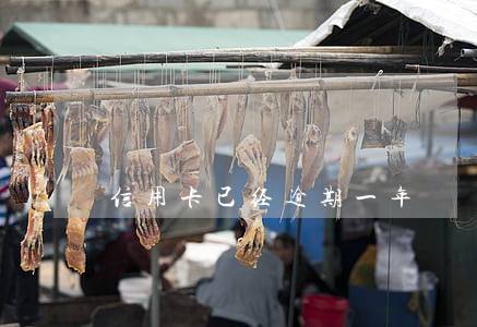 信用卡已经逾期一年 信用卡已经逾期一年