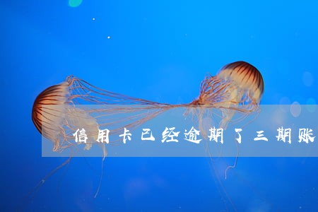 信用卡已经逾期了三期账单 信用卡已经逾期了三期账单