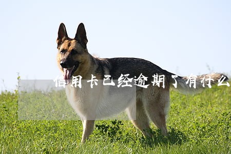 信用卡已经逾期了有什么影响 信用卡已经逾期了有什么影响