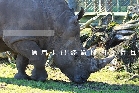 信用卡已经逾期四个月每月还一百 信用卡已经逾期四个月每月还一百