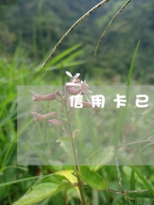 信用卡已过还款期一天是逾期吗