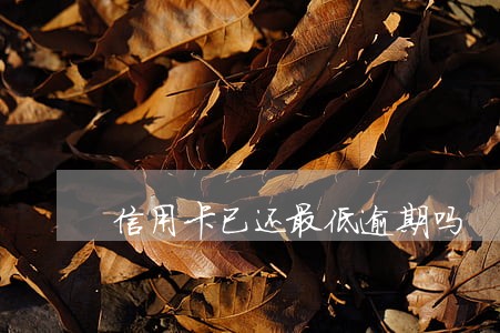 信用卡已还最低逾期吗 信用卡已还最低逾期吗