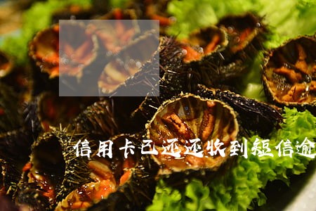 信用卡已还还收到短信逾期 信用卡已还还收到短信逾期