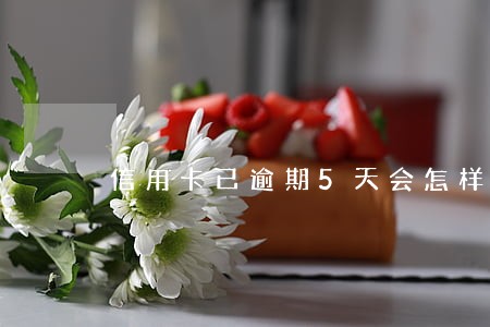 信用卡已逾期5天会怎样 信用卡已逾期5天会怎样