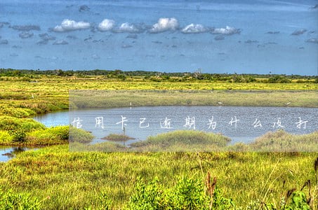 信用卡已逾期为什么没打电话给我 信用卡已逾期为什么没打电话给我
