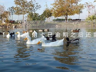 信用卡已逾期之后还款吗 信用卡已逾期之后还款吗