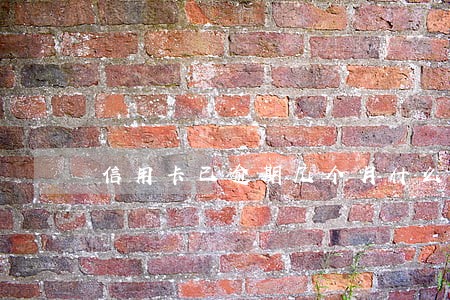 信用卡已逾期几个月什么办