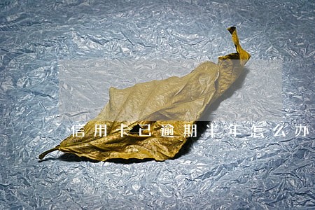 信用卡已逾期半年怎么办 信用卡已逾期半年怎么办