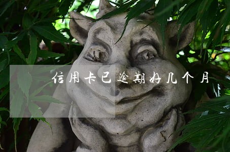 信用卡已逾期好几个月 信用卡已逾期好几个月