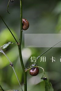 信用卡已逾期如何处理 信用卡已逾期如何处理