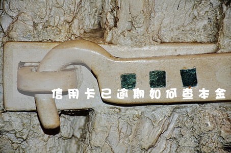 信用卡已逾期如何查本金 信用卡已逾期如何查本金