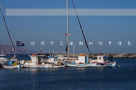 信用卡已逾期如何申请免息还款 信用卡已逾期如何申请免息还款