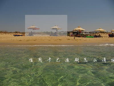 信用卡已逾期怎么消除