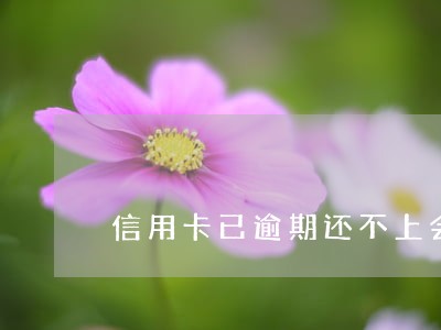信用卡已逾期还不上会怎样 信用卡已逾期还不上会怎样