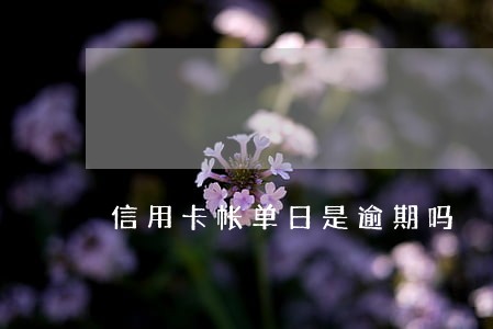 信用卡帐单日是逾期吗 信用卡帐单日是逾期吗