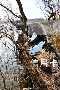 信用卡常年逾期怎么办理