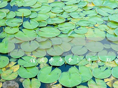 信用卡年费1年逾期会有征信问题 信用卡年费1年逾期会有征信问题