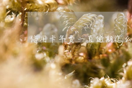 信用卡年费一直逾期怎么办 信用卡年费一直逾期怎么办