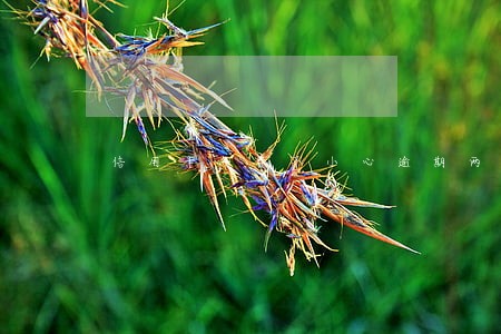 信用卡年费不小心逾期两个月 信用卡年费不小心逾期两个月