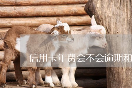 信用卡年费会不会逾期和滞纳金 信用卡年费会不会逾期和滞纳金