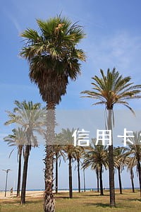信用卡年费会导致逾期吗