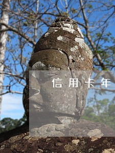 信用卡年费利息逾期 信用卡年费利息逾期