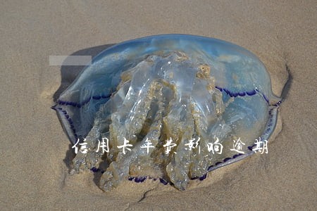信用卡年费影响逾期 信用卡年费影响逾期