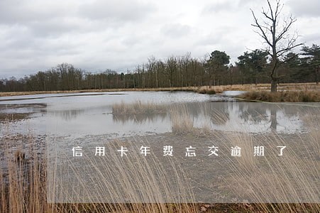 信用卡年费忘交逾期了 信用卡年费忘交逾期了