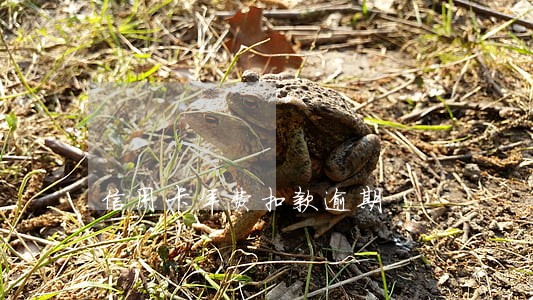 信用卡年费扣款逾期