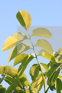 信用卡年费换手机号逾期 信用卡年费换手机号逾期