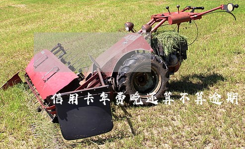 信用卡年费晚还算不算逾期 信用卡年费晚还算不算逾期