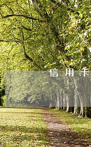 信用卡年费有逾期吗