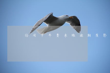 信用卡年费未缴逾期有影响没 信用卡年费未缴逾期有影响没