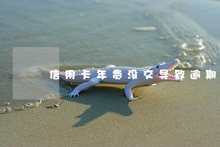 信用卡年费没交导致逾期 信用卡年费没交导致逾期