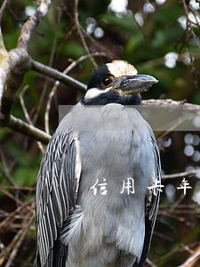 信用卡年费没交算不算逾期记录 信用卡年费没交算不算逾期记录