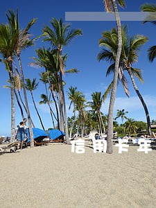 信用卡年费没有交算不算逾期 信用卡年费没有交算不算逾期