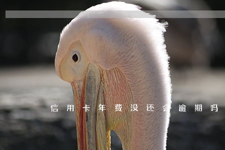 信用卡年费没还会逾期吗 信用卡年费没还会逾期吗