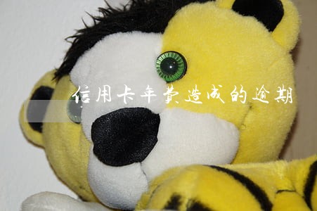 信用卡年费造成的逾期 信用卡年费造成的逾期