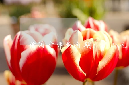 信用卡年费逾期160元