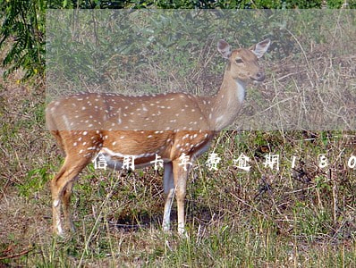 信用卡年费逾期180天