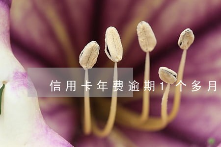 信用卡年费逾期1个多月 信用卡年费逾期1个多月