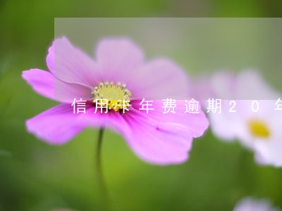 信用卡年费逾期20年 信用卡年费逾期20年