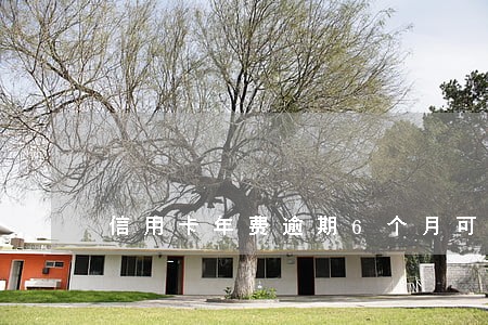 信用卡年费逾期6个月可以消除吗 信用卡年费逾期6个月可以消除吗