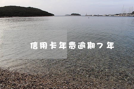 信用卡年费逾期7年