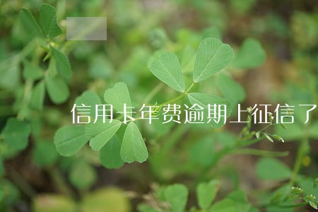 信用卡年费逾期上征信了 信用卡年费逾期上征信了