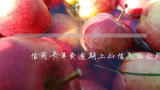 信用卡年费逾期上征信怎么处理 信用卡年费逾期上征信怎么处理