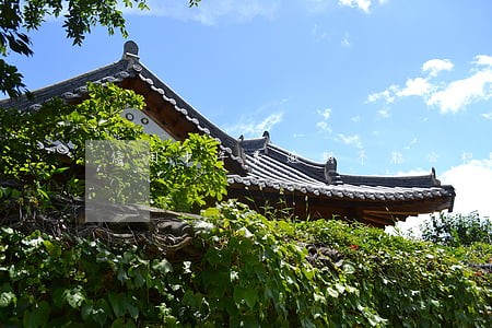 信用卡年费逾期不能公积金贷款 信用卡年费逾期不能公积金贷款