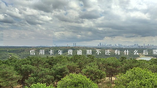 信用卡年费逾期不还有什么后果 信用卡年费逾期不还有什么后果