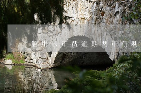 信用卡年费逾期两年有利息吗 信用卡年费逾期两年有利息吗